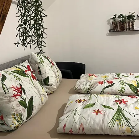 Apartament La Belle Maison *